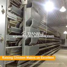 Tianrui neue Raising Equipment H Rahmen automatische Broiler Cage System